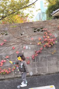 しゃぼん